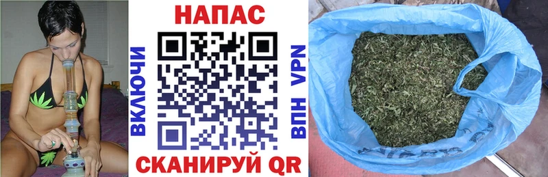 Бошки Шишки планчик  Купить закладки  Хилок 